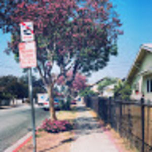 Meet your Posher, Mingyue